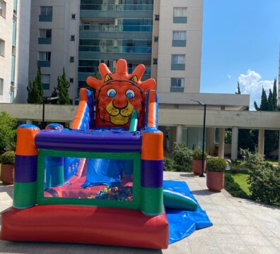 Tobogã Leãozinho 2 em 1